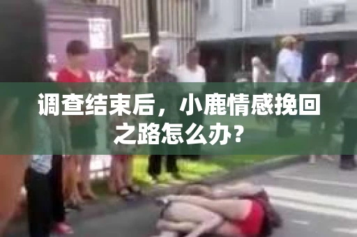 调查结束后，小鹿情感挽回之路怎么办？