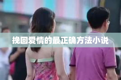 挽回爱情的最正确方法小说