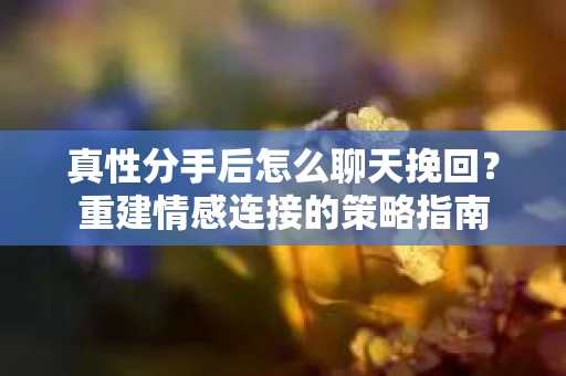 真性分手后怎么聊天挽回？重建情感连接的策略指南