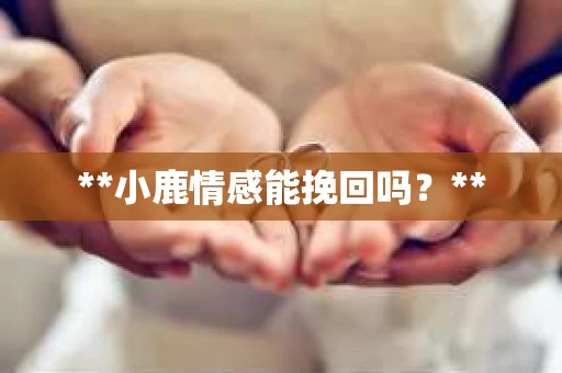 **小鹿情感能挽回吗？**