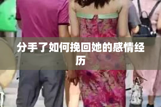 分手了如何挽回她的感情经历