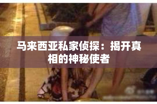 马来西亚私家侦探：揭开真相的神秘使者