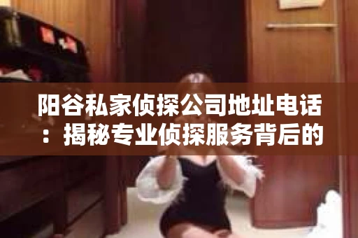 阳谷私家侦探公司地址电话：揭秘专业侦探服务背后的故事