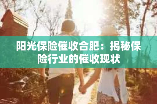 阳光保险催收合肥：揭秘保险行业的催收现状