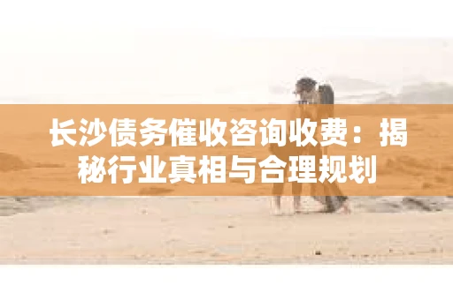 长沙债务催收咨询收费：揭秘行业真相与合理规划