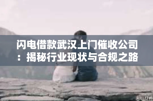 闪电借款武汉上门催收公司：揭秘行业现状与合规之路