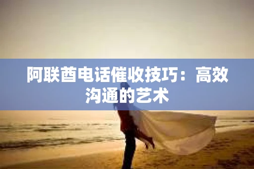 阿联酋电话催收技巧：高效沟通的艺术
