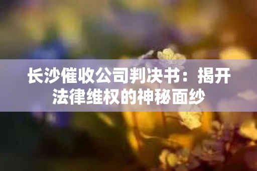 长沙催收公司判决书：揭开法律维权的神秘面纱