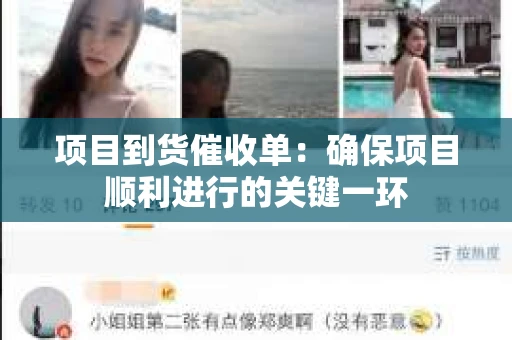 项目到货催收单：确保项目顺利进行的关键一环