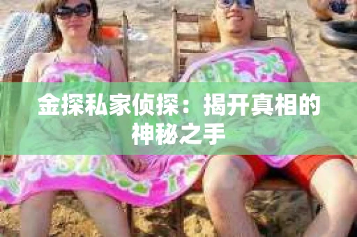 金探私家侦探：揭开真相的神秘之手