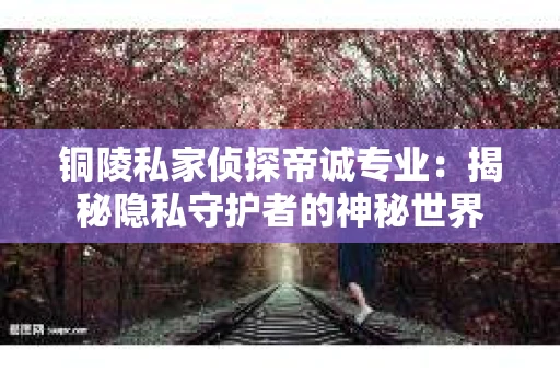 铜陵私家侦探帝诚专业：揭秘隐私守护者的神秘世界
