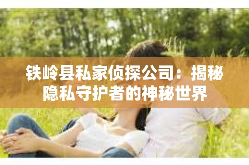 铁岭县私家侦探公司：揭秘隐私守护者的神秘世界