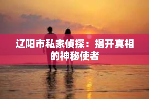 辽阳市私家侦探：揭开真相的神秘使者