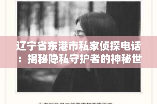 辽宁省东港市私家侦探电话：揭秘隐私守护者的神秘世界