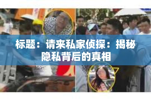 标题：请来私家侦探：揭秘隐私背后的真相