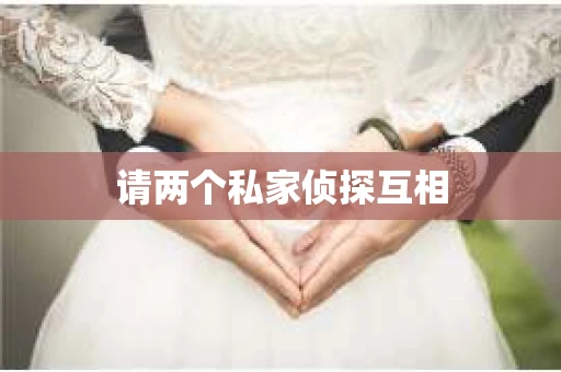 请两个私家侦探互相