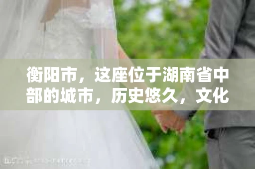 衡阳市，这座位于湖南省中部的城市，历史悠久，文化底蕴深厚。随着社会的发展，人们对于个人隐私的保护意识逐渐增强，私家侦探机构也应运而生。那么，衡阳市是否有私家侦探机构呢？今天，我们就来聊聊这个话题。