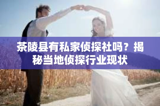 茶陵县有私家侦探社吗？揭秘当地侦探行业现状