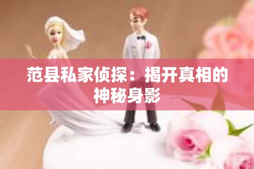 范县私家侦探：揭开真相的神秘身影