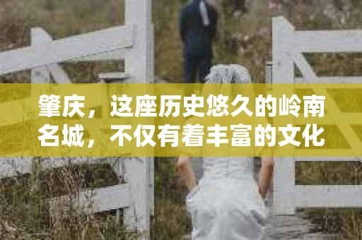 肇庆，这座历史悠久的岭南名城，不仅有着丰富的文化遗产，还有着独特的现代生活节奏。在这个城市里，你是否曾有过需要帮助解决一些棘手问题的时候？或许，你听说过肇庆有私家侦探，那么，他们究竟是怎样的存在呢？