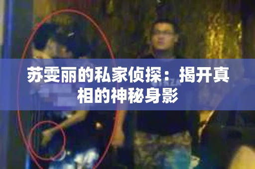 苏雯丽的私家侦探：揭开真相的神秘身影