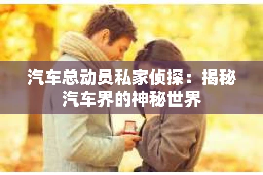 汽车总动员私家侦探：揭秘汽车界的神秘世界