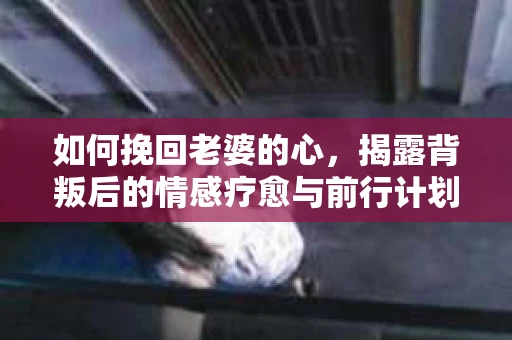 如何挽回老婆的心,揭露背叛后的情感疗愈与前行计划 如何挽回老婆的心,揭露背叛后的情感疗愈与前行计划