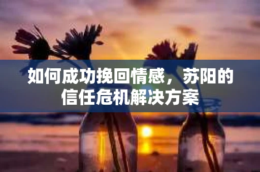 如何成功挽回情感，苏阳的信任危机解决方案