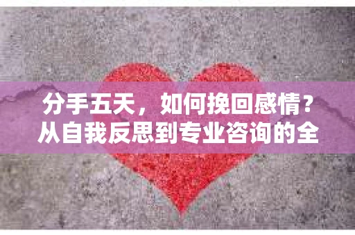 分手五天，如何挽回感情？从自我反思到专业咨询的全面解决方案