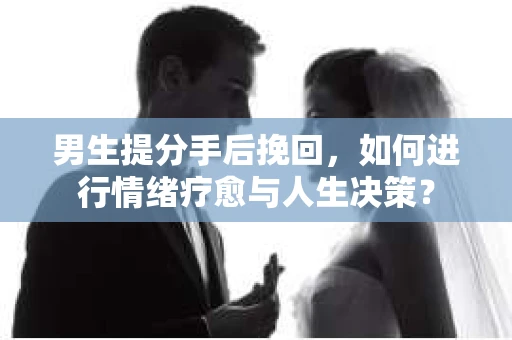 男生提分手后挽回，如何进行情绪疗愈与人生决策？