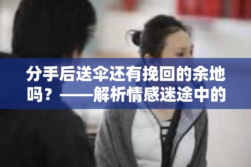 分手后送伞还有挽回的余地吗？——解析情感迷途中的决策