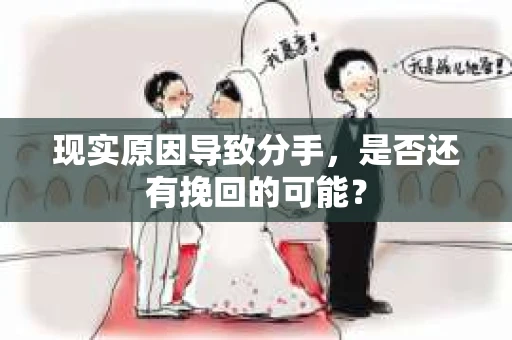 现实原因导致分手，是否还有挽回的可能？