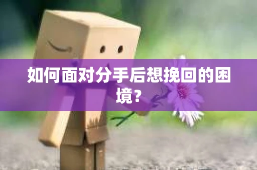 如何面对分手后想挽回的困境？