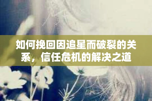 如何挽回因追星而破裂的关系，信任危机的解决之道