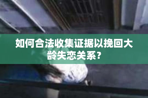 如何合法收集证据以挽回大龄失恋关系? 如何合法收集证据以挽回大龄失恋关系?